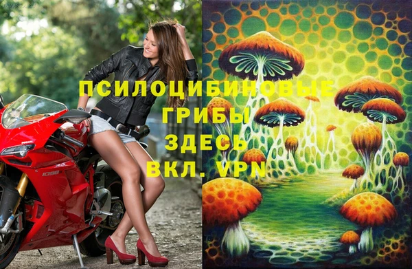 молекула духа Нея