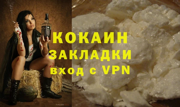 дурь Сосновый Бор